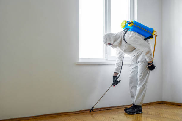 Best Mosquito Control Services  in Mehlville, MO