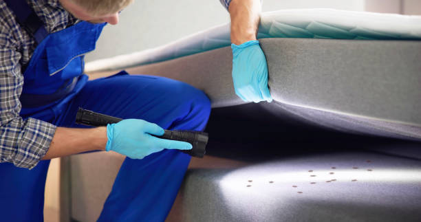 Best Pest Control Near Me in Mehlville, MO